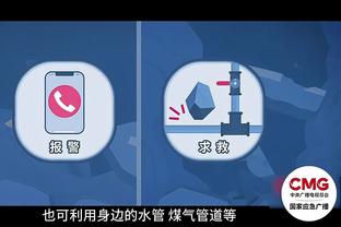 开云官方入口官网首页截图0